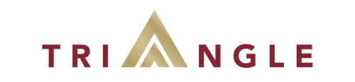Triangle Logo